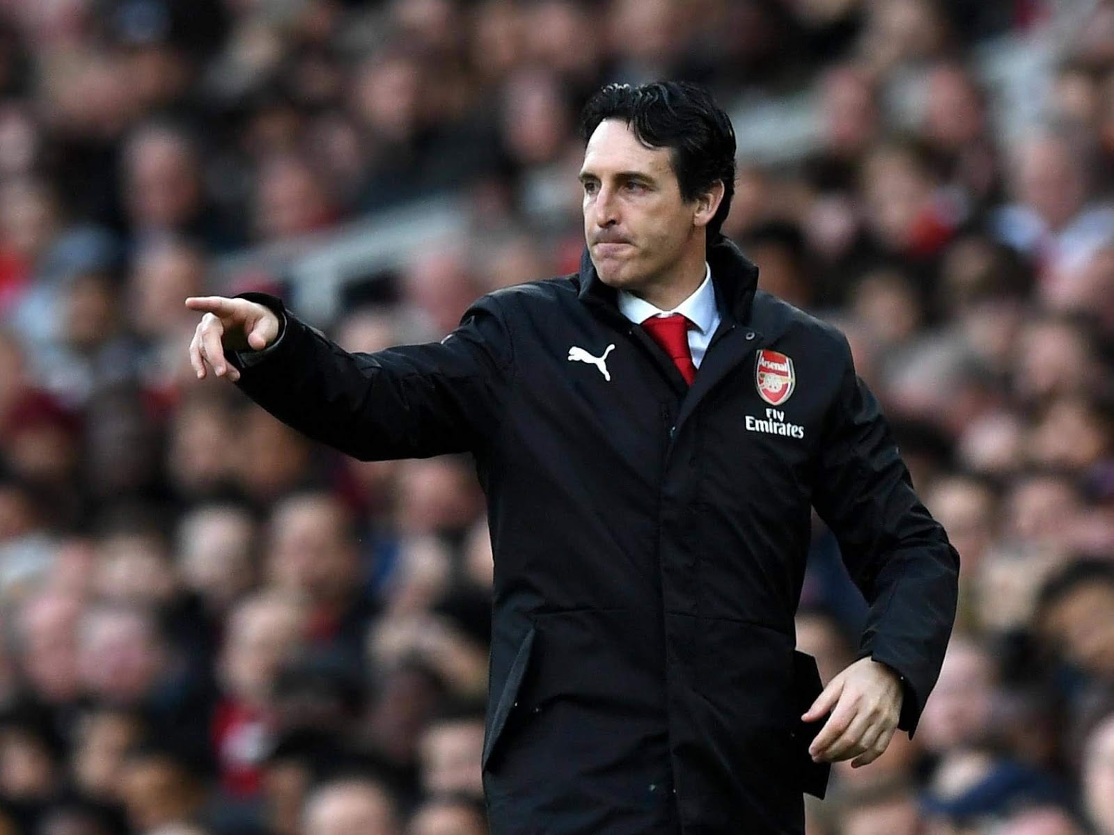 Arsenal coach Unai Emery