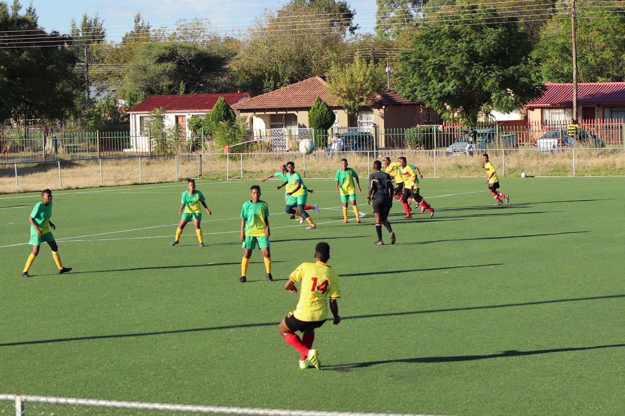Golden Ladies in action