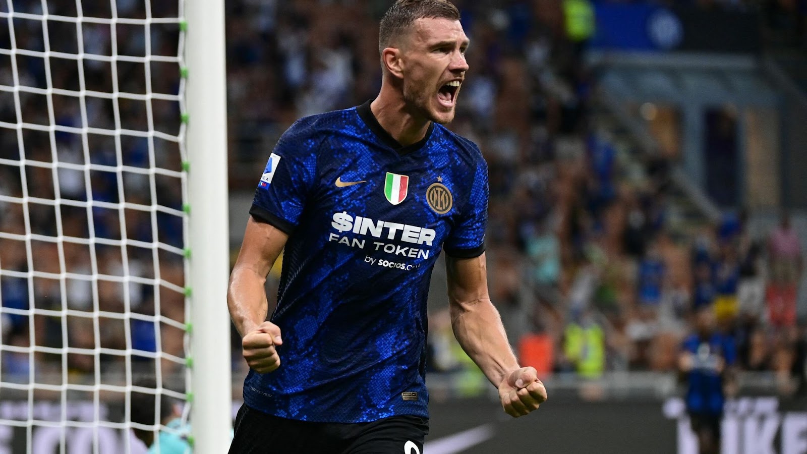 Edin Dzeko Edin Dzeko